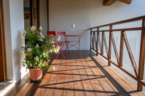 Fiori di campo - Treviso